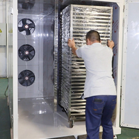 Industriële hetelucht-droogmachine voor bananen, noodles en fruit (voedsel)