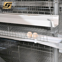 Cage à poules pondeuses pour élevage en batterie, équipement d'élevage pour fermes avicoles