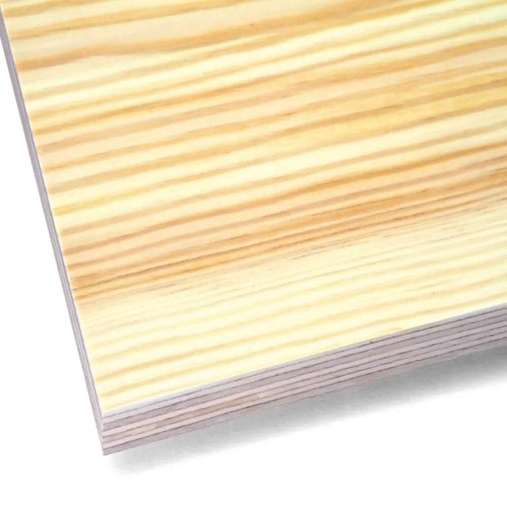 رقائق خشبية قياسية من خشب البتولا لعمل الأثاث الخزفي، ألواح خشبية من الكربون والغراء E0 والميلامين P2