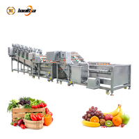 SUS304 Moringa Bladeren Wasmachine Aloë Vera Wasmachine Groente- en Fruitreiniger Automatische Wasmachine Lijn voor Aardappelen