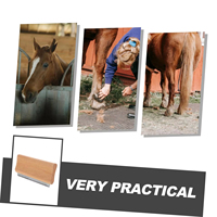 Brosse de toilettage pour chevaux en bois de 20 cm avec logo personnalisé, grattoir à sueur, peigne à curry et outil de démêlage