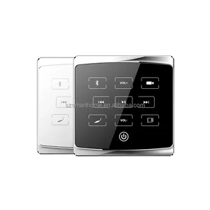 होम बैकग्राउंड म्यूजिकप्लिफायर के लिए लाइट टच बटन के साथ 25W 2 चैनल USB/ब्लू टूथ 25W वॉल एम्पलीफायर