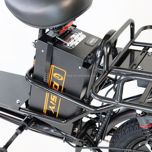 Disiyuan usine Fat Ebike Kiti rapide 250w 20 pouces cadre en acier Cargo Bike électrique Cargo Bike - Product Image 5