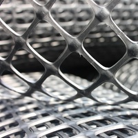 Geogrid Factory Nouveaux matériaux PP Géogrille biaxiale 30kN 40kN pour chaussées en ciment armé, travaux de terrassement et construction routière