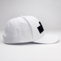 Hoge kwaliteit vintage buckram gestructureerde terry cap met geborduurd fruitlogo, gebogen klep, 6 panelen, sport baseball cap