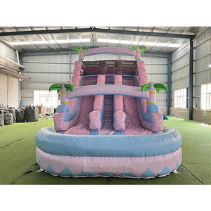 Tobogán Acuático Inflable Comercial con Forma de Palmera para Fiestas, Tobogán Inflable para Niños con Piscina - Product Image 1