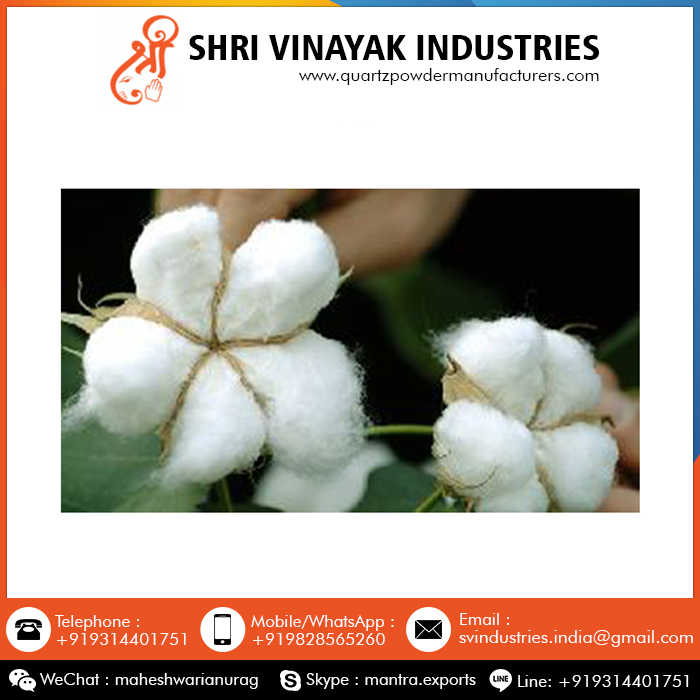 Wholesale Cotton 100% Pure Organic Raw Cotton Buy From Indian Exporter