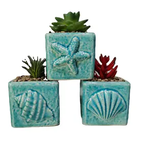 Zeeschelp Crack Glazuur Blauwe Schattige Kleine Keramische Pot Set Van 3; Kruid En Cactus Huis En Kantoor Decoratie Ambachten En Geschenken