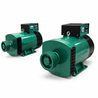 Bürstenloser 480V Generator mit Fernstart-Funktion für Industrielle Notstromversorgung