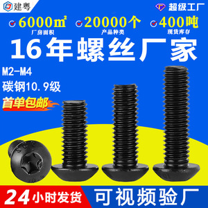 10.9M2/M3/M4 - Product Image 5