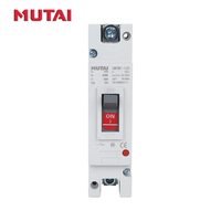 Pabrik MUTAI Custom 1 2 3 4 Kutub 32a 63a 100a 125a 150a 250a 300a AC MCCB Harga Moldeada Pemutus Sirkuit Casing Cetak