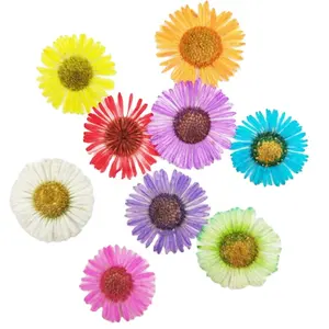 Handwerk Natuurlijke Gedroogde Chrysant Bloem Materialen Voor Hars Juwelen Diy Promotionele Bruiloft Decoratieve Gift Nail Make