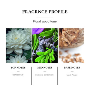 Vente en gros de 50 ml d'ELEA Holiday <span class=keywords><strong>EDT</strong></span> pour homme, parfum floral, boisé, fruité, thé, longue tenue, parfum moderne et sportif, vaporisateur personnalisable - Product Image 5