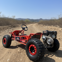 Go Kart con Volante y Diferencial, Motor de 212cc y 4 Tiempos, Llantas de 10 Pulgadas, Buggy Todoterreno para Niños y Adultos, Kart de Recreo