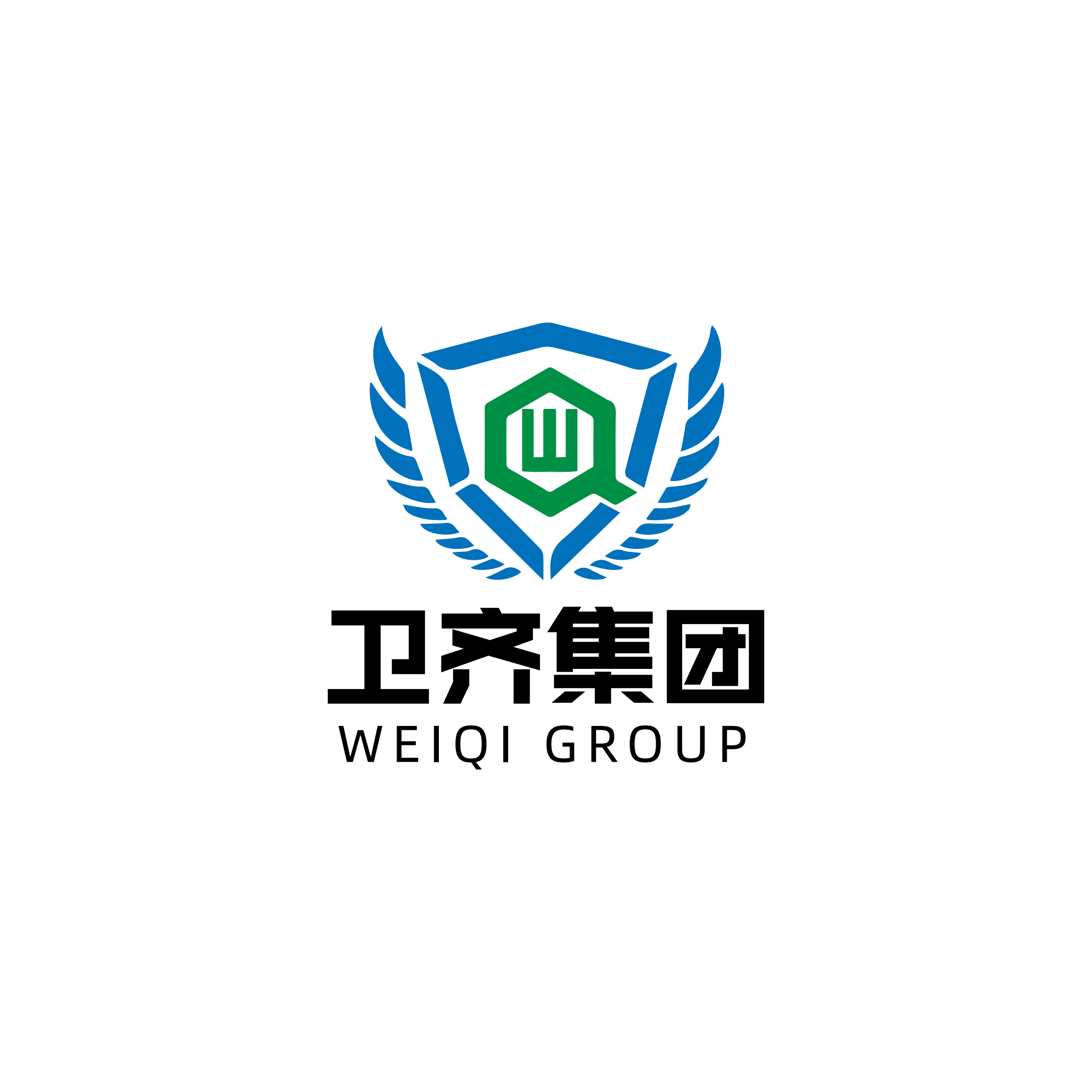Guizhou Weiqi Protection Technology Co., Ltd. logo