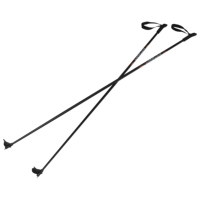 Bâtons de ski durables avec sangle de poignet réglable pour sports d'hiver – Fournisseur d'usine, faible MOQ