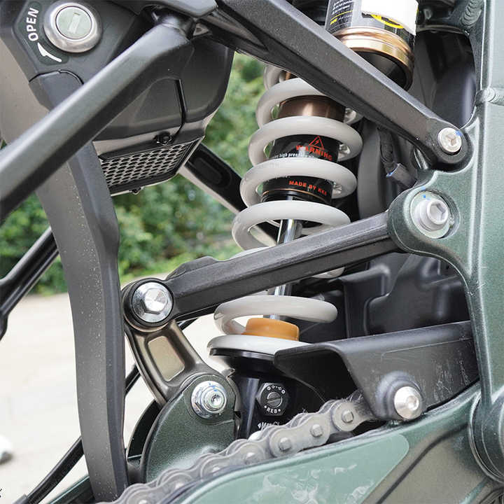 Light Bee X 2024 6KW 60V 40AH Light Bee X Latest Off Road Suron LBX ...