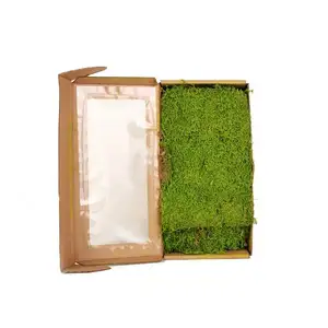 Hoja de alta calidad, <span class=keywords><strong>musgo</strong></span> Natural <span class=keywords><strong>español</strong></span>, <span class=keywords><strong>musgo</strong></span> de pared conservado colorido para decoración de la casa - Product Image 1
