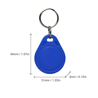 Porte-clés RFID programmable 13,56 MHz en PVC époxy avec carte NFC à bande magnétique pour système de contrôle d'accès et de membre