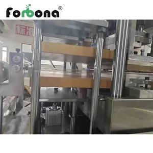 Forbona thiết kế mới hoàn toàn tự động các tông vỉ thermoforming vỉ máy đóng gói