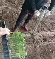 Transplanteuse de semis agricole en acier inoxydable pour légumes jeunes plantes plantes manuelles