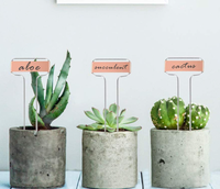 Étiquettes pour plantes avec double pointe, marqueurs de jardin durables et résistants aux intempéries, étiquettes en acier inoxydable pour l'identification des plantes d'extérieur