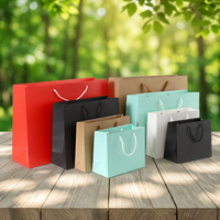 Sacs en papier cadeau avec poignée Flexiloop récupérable, emballage de marchandises pour la vente au détail dans les supermarchés