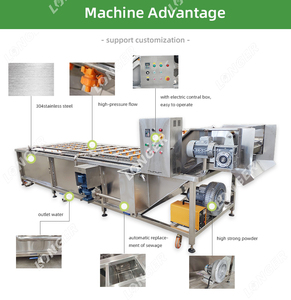 Venta <span class=keywords><strong>de</strong></span> fábrica <span class=keywords><strong>de</strong></span> <span class=keywords><strong>gambas</strong></span> <span class=keywords><strong>de</strong></span> la máquina <span class=keywords><strong>de</strong></span> limpieza <span class=keywords><strong>de</strong></span> camarones <span class=keywords><strong>de</strong></span> lavado, el <span class=keywords><strong>precio</strong></span> <span class=keywords><strong>de</strong></span> la máquina - Product Image 2