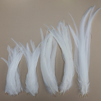 Plumes de queue de coq blanches pures, plumes de coq en vrac, plumes naturelles pour fêtes, carnavals, vêtements DIY et accessoires vestimentaires