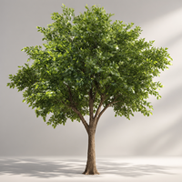Grand arbre artificiel en ficus de 4,6 m avec un tronc réaliste |   Végétation résistante aux UV pour la décoration commerciale et intérieure de luxe