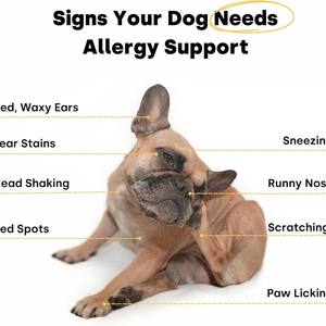 Friandises à mâcher pour chiens OEM Advanced Itch Relief, friandises à mâcher douces pour chiens, 90 unités, dinde et saumon, soutien cutané pour les allergies - Product Image 4