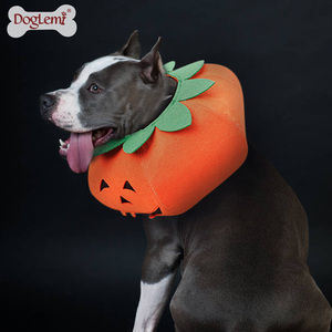 Vêtements pour animaux de compagnie très demandés, tenue d'Halloween réglable et pliable pour animaux de compagnie, costume de <span class=keywords><strong>chien</strong></span> au design mignon et original en forme de <span class=keywords><strong>citrouille</strong></span> - Product Image 6