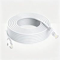Câble de communication Cat5e UTP Gigabit RJ45 professionnel sur mesure OEM de 25 m pour connexion de serveur et projets professionnels