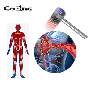 Chuyên nghiệp đa chức năng Class IV 660nm 800nm 905nm 970nm Pain Relief Laser trị liệu thiết bị cho phòng khám