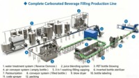 Machine de remplissage automatique de boissons gazeuses en bouteilles PET de haute qualité 3000BPH, ligne de production de remplissage d'eau gazeuse