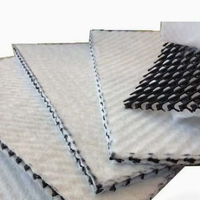 Géonetto en géocomposite HDPE 3D pour drainage, avec géotextile à fibres longues de style uni, pour le drainage des décharges, des routes et des jardins