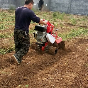 Cultivateur portatif de 10 pouces de largeur de travail, moteur à essence de 80 cm³, 2,5 ch, pour le travail du jardin et la préparation du sol - Product Image 1
