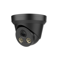 Caméra IP de surveillance Vikylin Black Pg2383c-B 8MP IR 30m Full Color Smart Ai Detection Fixed Dome H.265 IP 67 PoE