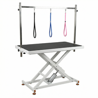 Table de toilettage pour animaux de compagnie de qualité supérieure pour les hôpitaux vétérinaires et les cliniques vétérinaires avec hauteur réglable et design en acier inoxydable