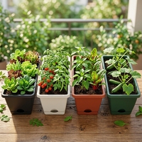 Pot de fleurs rectangulaire en plastique, long pot à légumes en PP, pot de plantation de jardin simple avec indicateur de niveau d'eau et trou de drainage auto-drainant