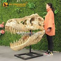 Réplique du squelette de dinosaure doré, 25 cm, nouveau design, chinois