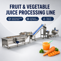 Machine automatique d'extraction de jus de fruit de la passion, ligne de traitement de la pulpe de carotte, de tomate et de mangue pour la production de concentré
