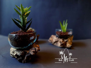 Terrário Aquário Decorativo Moderno Ecológico de Fibra de Vidro Fundido com Efeito de Madeira Flutuante, em Formato de Garrafa Semiaberta, para Plantas, Suprimentos para Atacado - Product Image 5