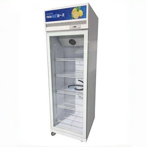 Réfrigérateur commercial à porte unique OEM 388L, refroidi par air, <span class=keywords><strong>avec</strong></span> cadre, pour boissons et glaces, vitrine de présentation - Product Image 3
