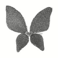 Paillettes Princesse Papillon Ailes De Fée Costumes Ailes De Fée Ailes D'ange Ailes De Fête Des Enfants Prop Personnalisé