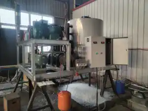 Flake Ice Machine 1 2 3 5T 10 Ton 15 20 30 40 Tons Commercial Industrial Factory Low Price Ice Maker