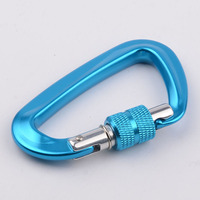 Mousqueton en aluminium à petite porte à vis 12KN de haute qualité pour l'extérieur