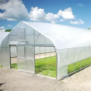 Skyplant Vegetables Growing Hoop House Single Span Agricultural Greenhouse Tunneling