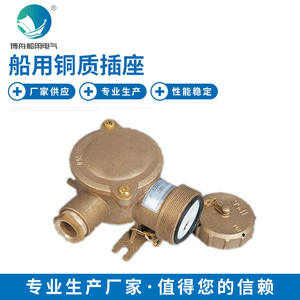 Enchufe e Interruptor Marinos Impermeables de Cobre CZH101 para Uso en Interiores y Exteriores con Voltaje Nominal de 125V para Aplicaciones Industriales - Product Image 2