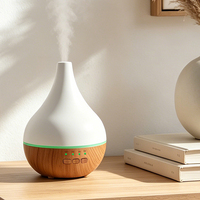Humidificateur ultrasonique écologique à LED multicolores alimenté par USB, diffuseur d'arômes, capacité >200 ml, léger, portable, en plastique, pour la maison